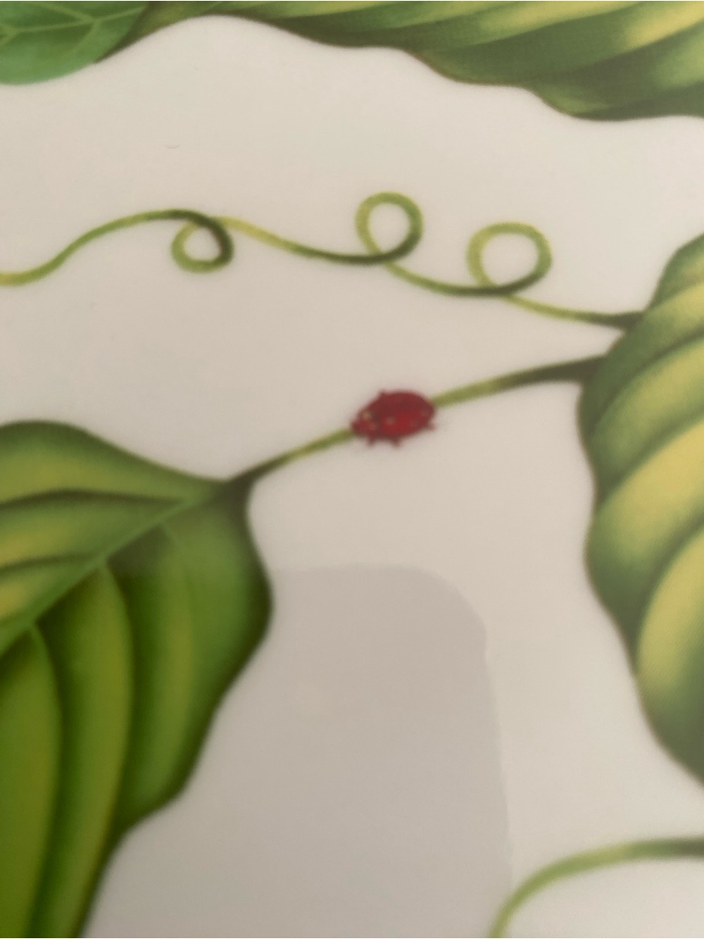 Set Of 2 Godinger & Co. Jardin. Large Sandwich Trays / oval serving platters - Picture 9 of 12